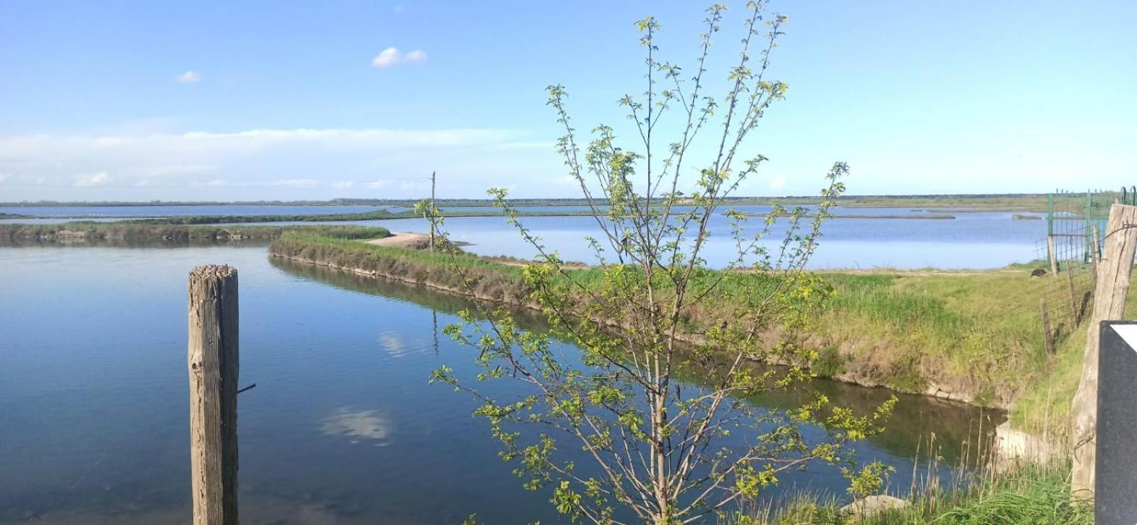 Casa Vacanze Nel Delta Del Po Taglio di Po Zewnętrze zdjęcie