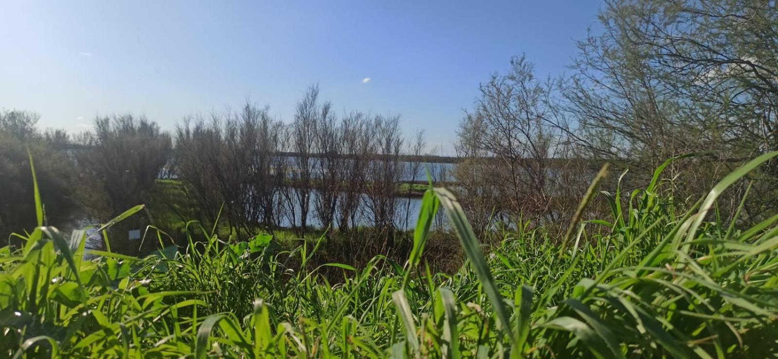Casa Vacanze Nel Delta Del Po Taglio di Po Zewnętrze zdjęcie