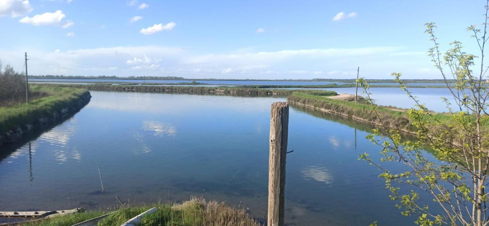 Casa Vacanze Nel Delta Del Po Taglio di Po Zewnętrze zdjęcie