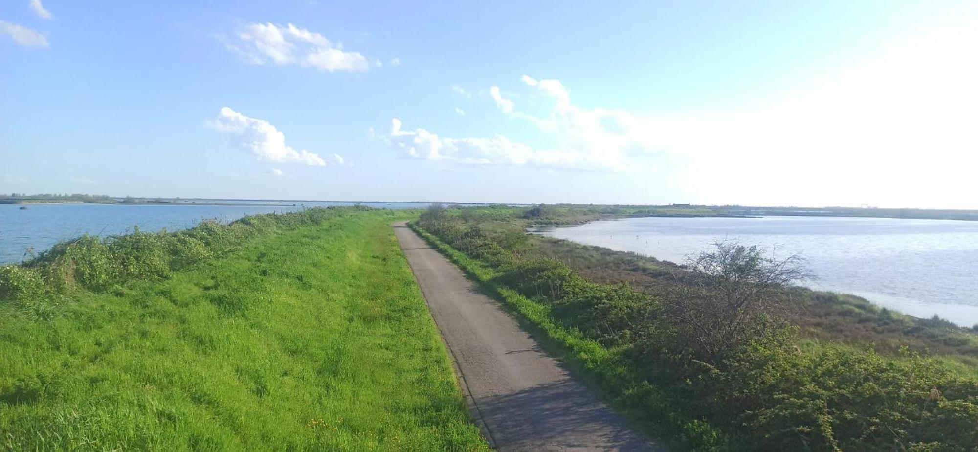 Casa Vacanze Nel Delta Del Po Taglio di Po Zewnętrze zdjęcie
