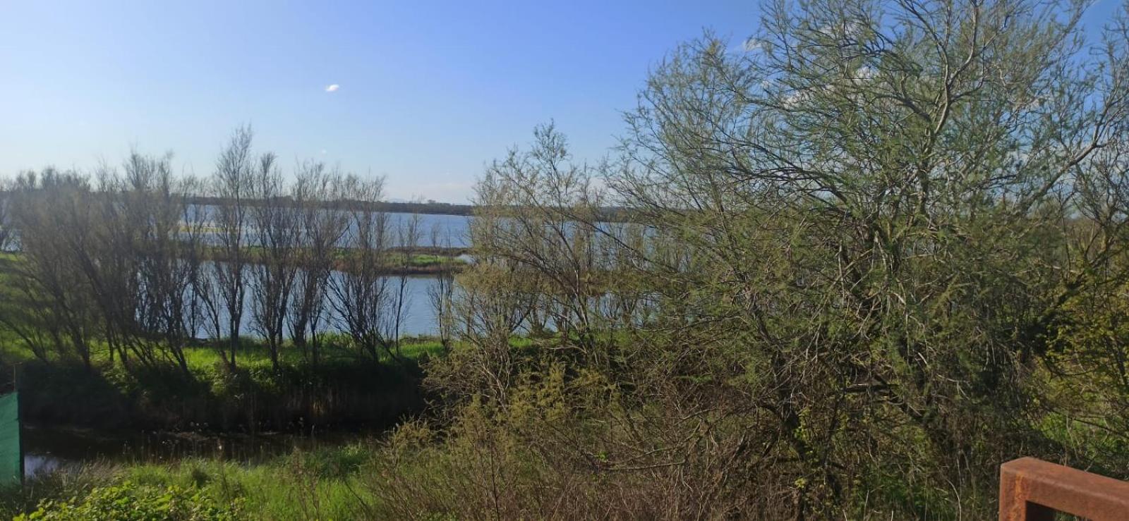 Casa Vacanze Nel Delta Del Po Taglio di Po Zewnętrze zdjęcie