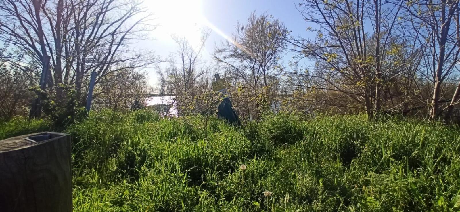 Casa Vacanze Nel Delta Del Po Taglio di Po Zewnętrze zdjęcie