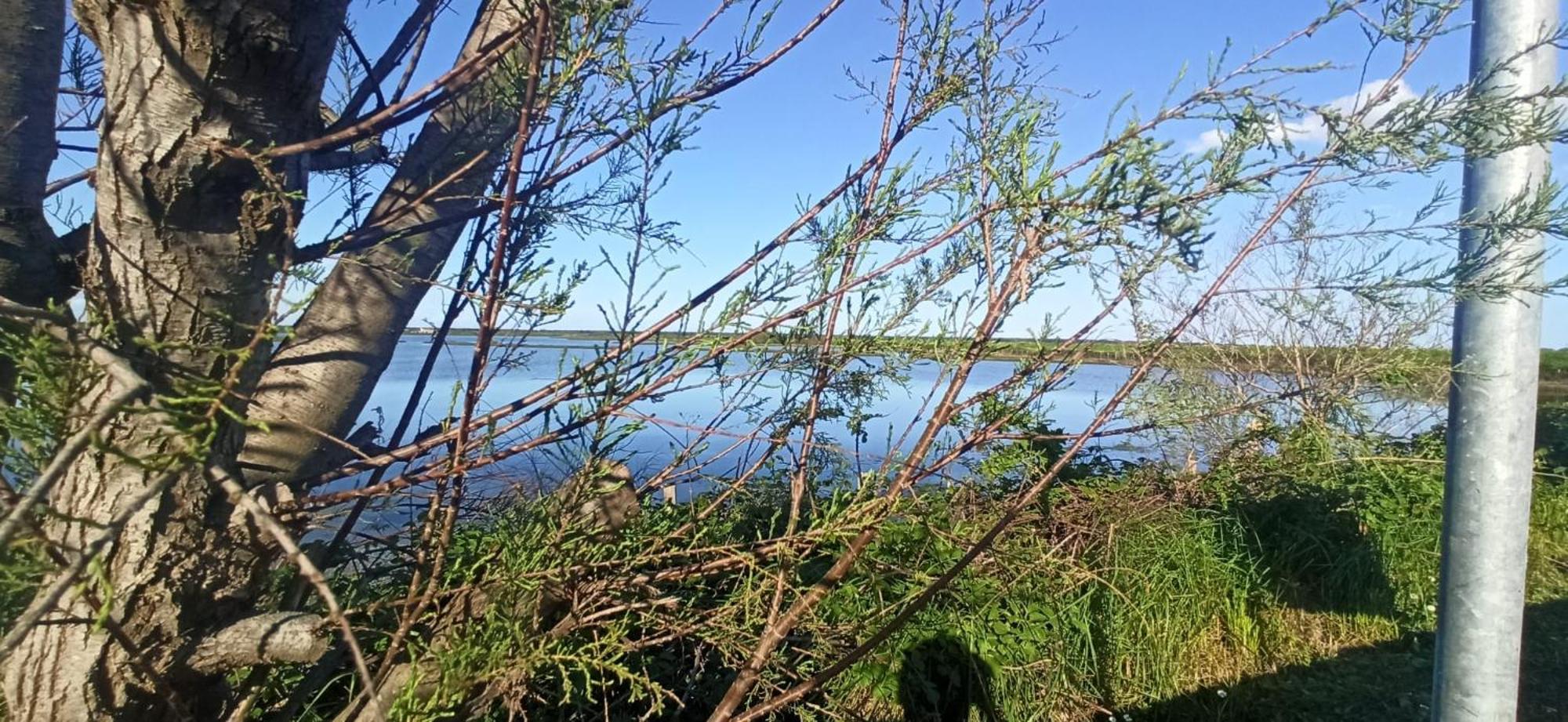 Casa Vacanze Nel Delta Del Po Taglio di Po Zewnętrze zdjęcie