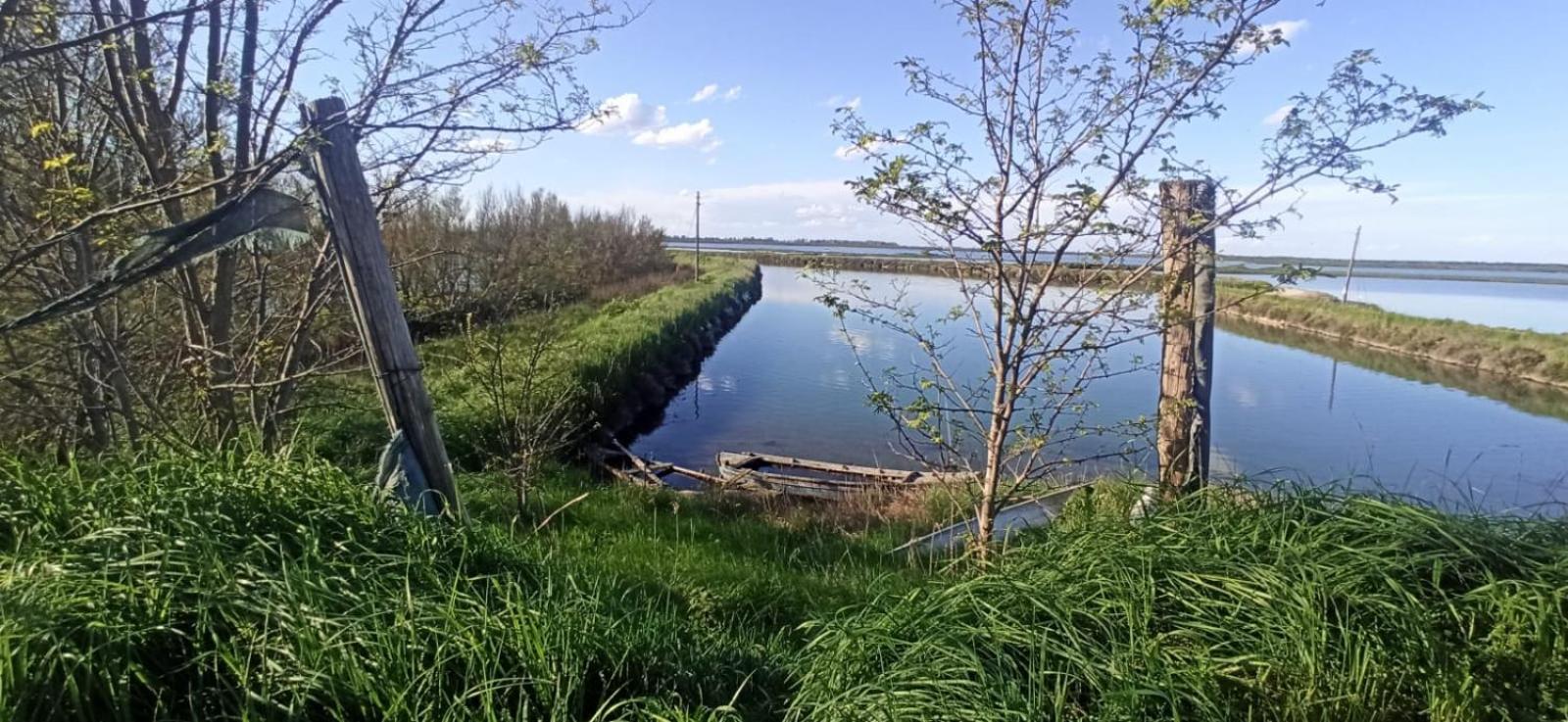 Casa Vacanze Nel Delta Del Po Taglio di Po Zewnętrze zdjęcie