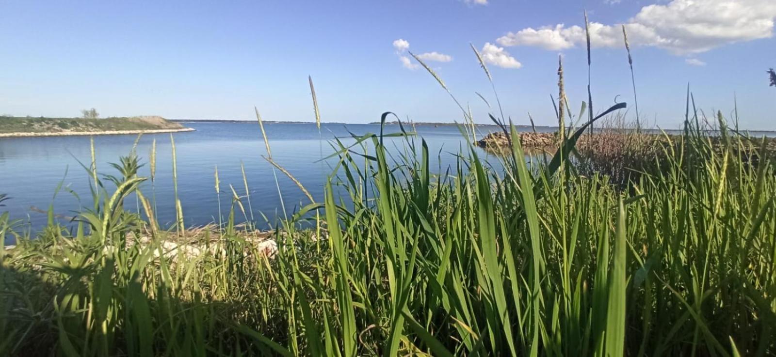 Casa Vacanze Nel Delta Del Po Taglio di Po Zewnętrze zdjęcie