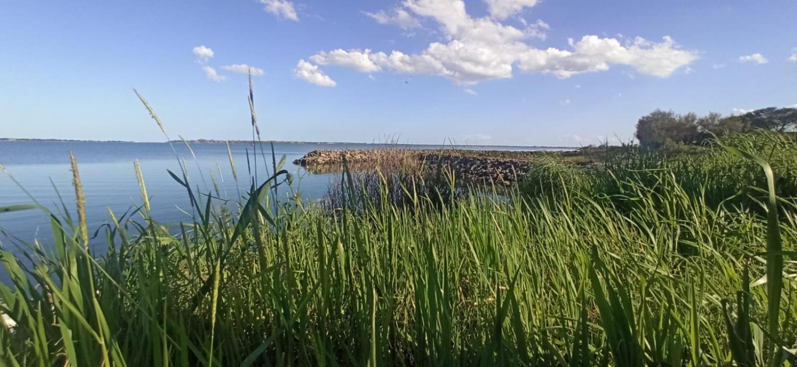 Casa Vacanze Nel Delta Del Po Taglio di Po Zewnętrze zdjęcie
