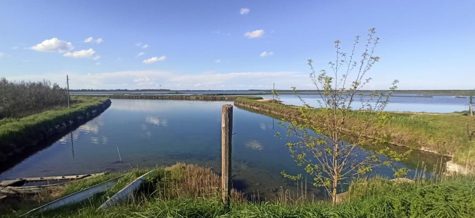 Casa Vacanze Nel Delta Del Po Taglio di Po Zewnętrze zdjęcie