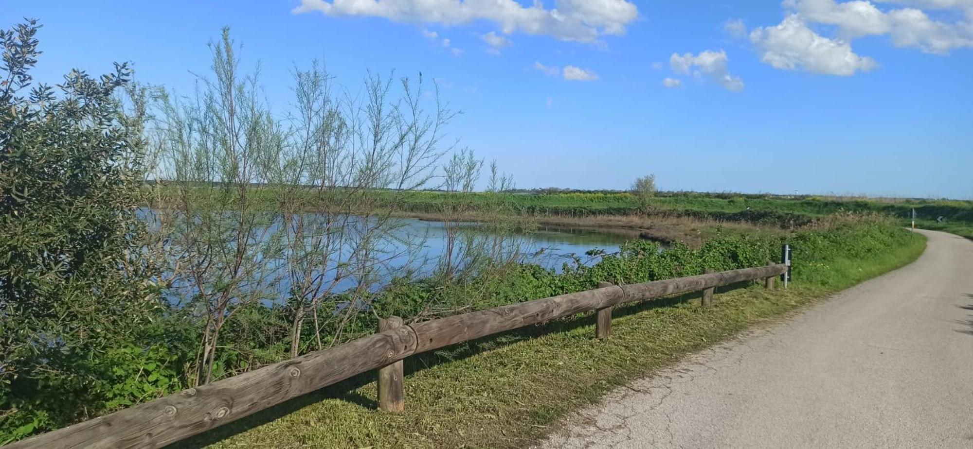 Casa Vacanze Nel Delta Del Po Taglio di Po Zewnętrze zdjęcie
