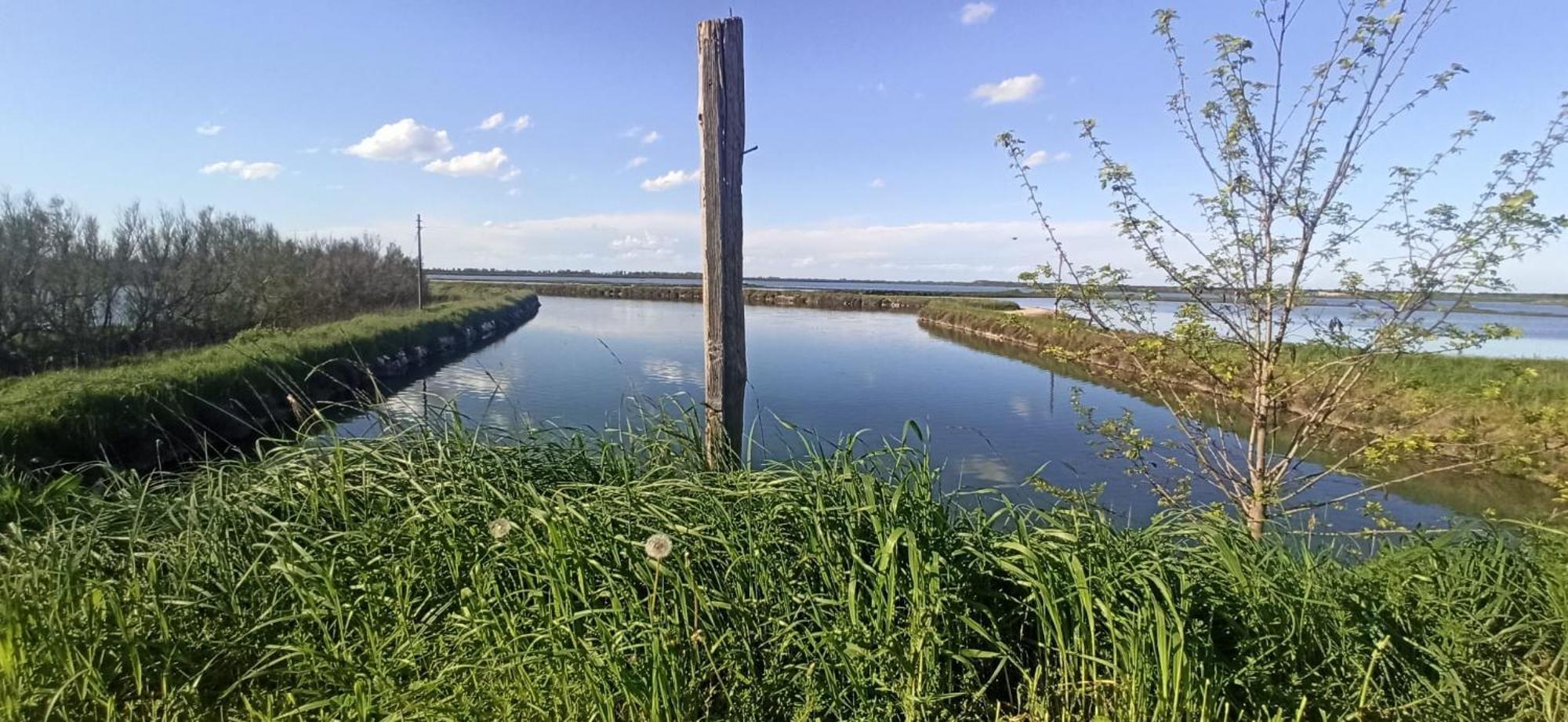 Casa Vacanze Nel Delta Del Po Taglio di Po Zewnętrze zdjęcie