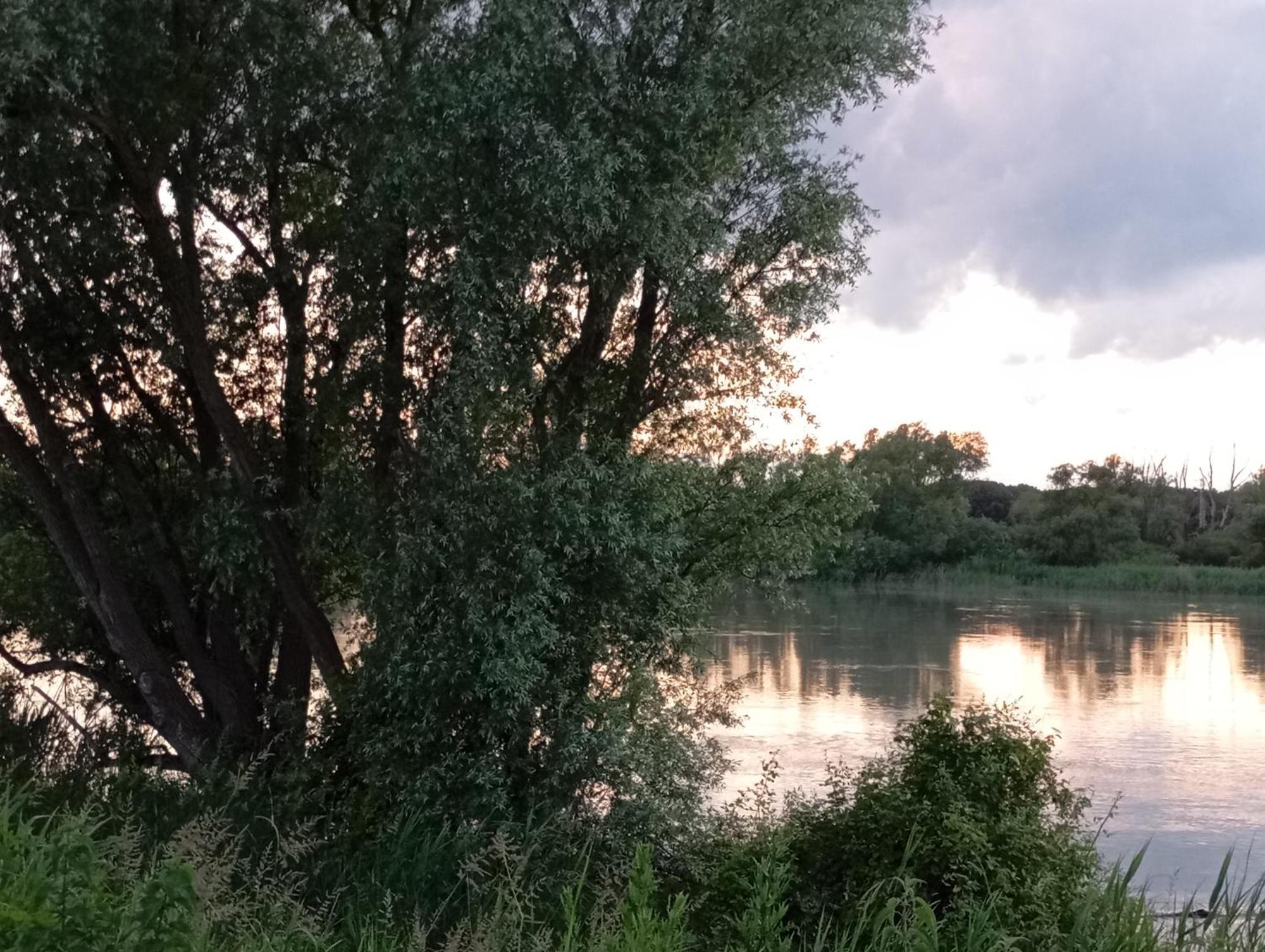 Casa Vacanze Nel Delta Del Po Taglio di Po Zewnętrze zdjęcie