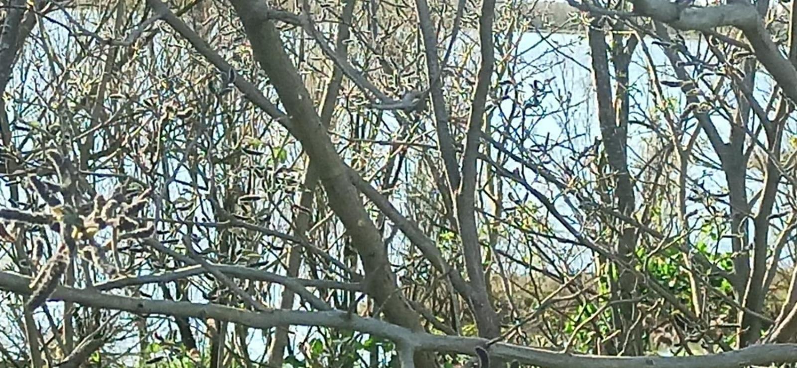 Casa Vacanze Nel Delta Del Po Taglio di Po Zewnętrze zdjęcie