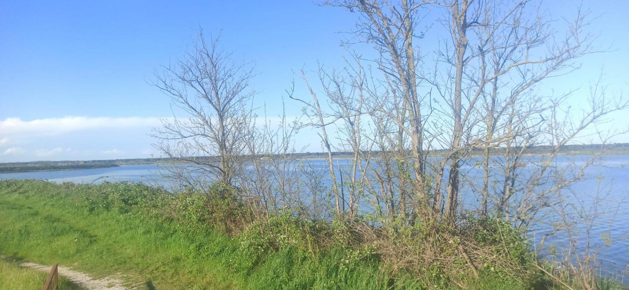 Casa Vacanze Nel Delta Del Po Taglio di Po Zewnętrze zdjęcie