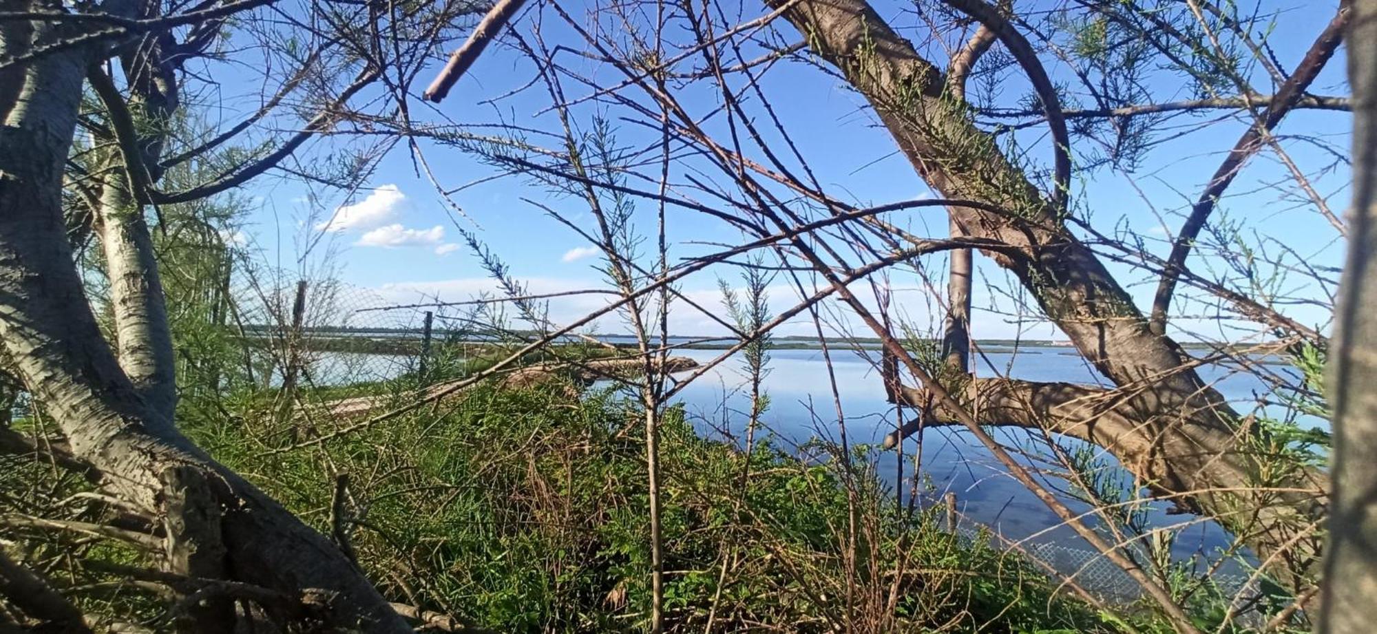 Casa Vacanze Nel Delta Del Po Taglio di Po Zewnętrze zdjęcie