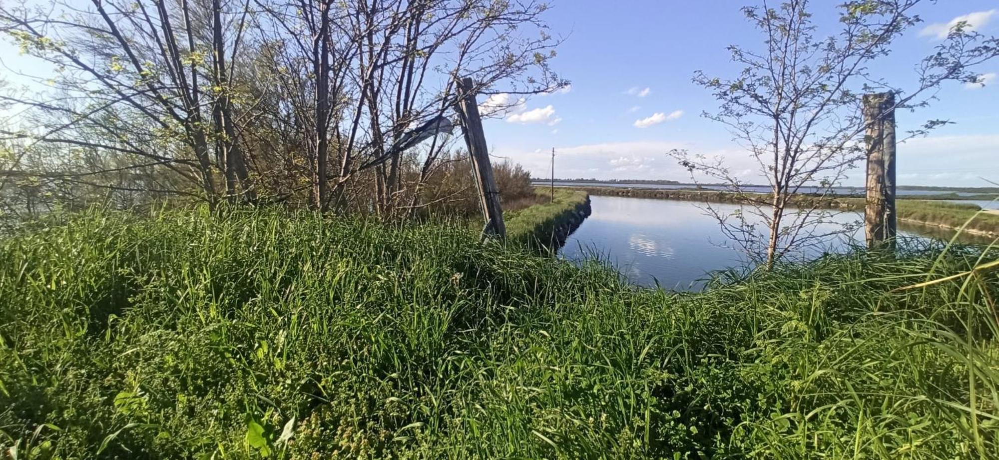 Casa Vacanze Nel Delta Del Po Taglio di Po Zewnętrze zdjęcie