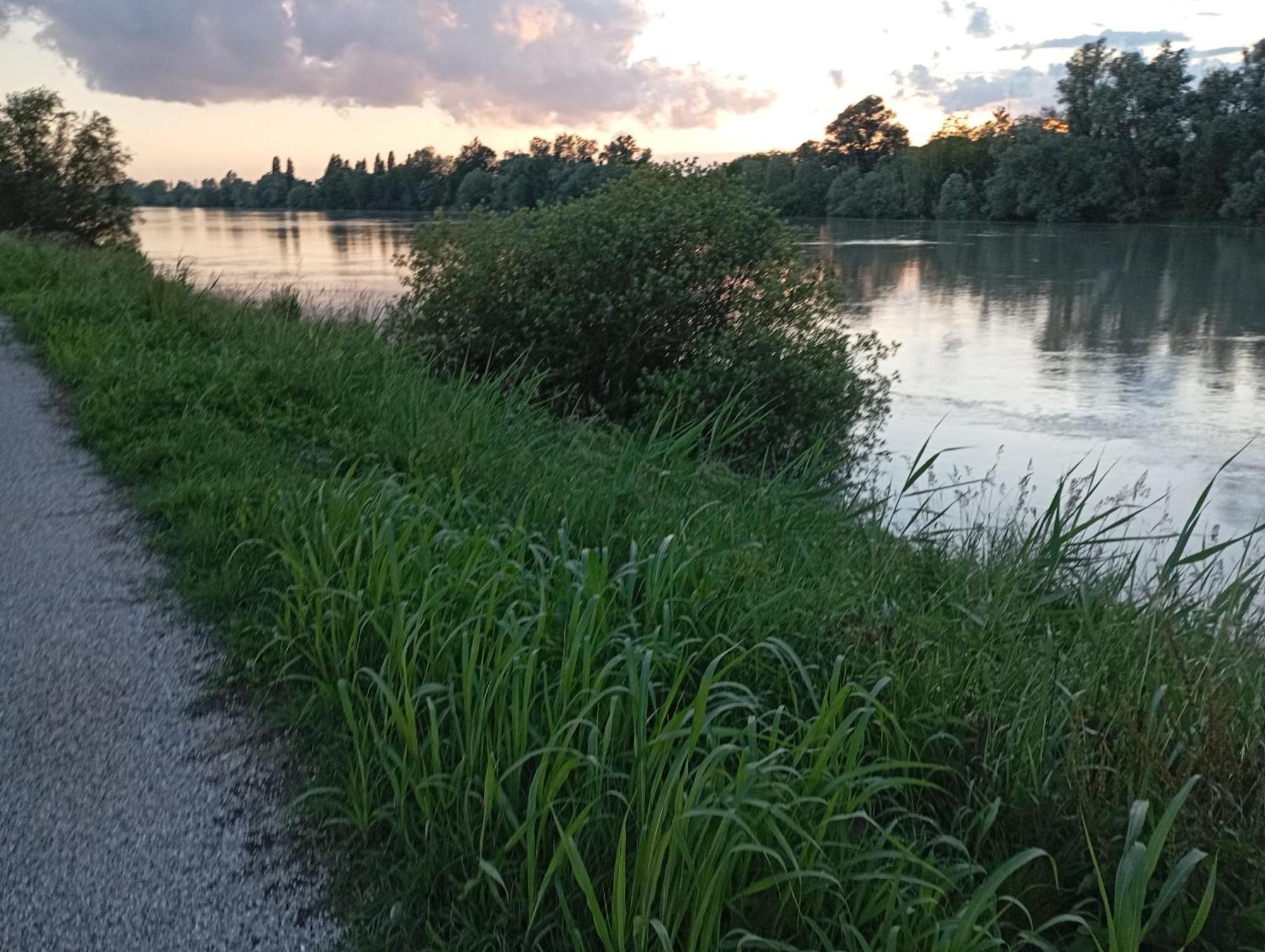 Casa Vacanze Nel Delta Del Po Taglio di Po Zewnętrze zdjęcie